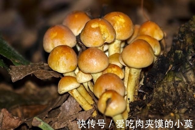 前缘|近段时间，前缘回头矛盾消除，待前任如初恋