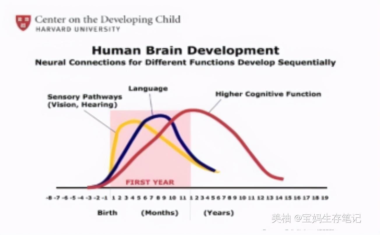 孩子|哈佛研究表明：6岁前孩子有3次“变聪明”的机会，父母别错过