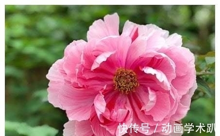 事业|本周，相思断肠，命中注定，涓涓溪水，爱河再起，邂逅真爱