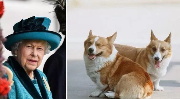 仇恨|93岁的女王,今天也是拉仇恨的一天呢!