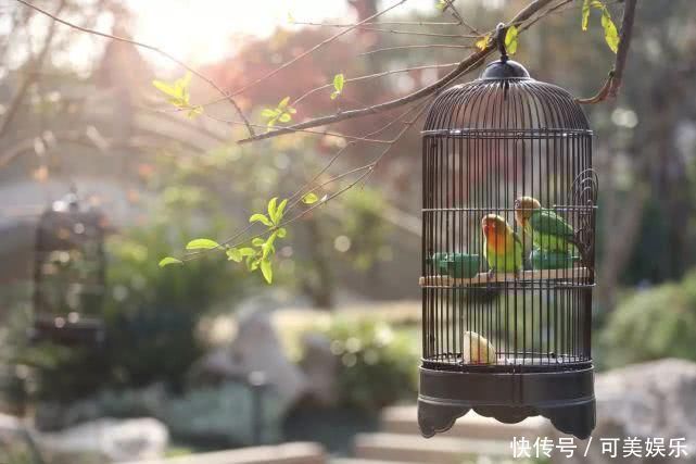 建发|20个新中式庭院，让诗与远方从这里走进我们的生活