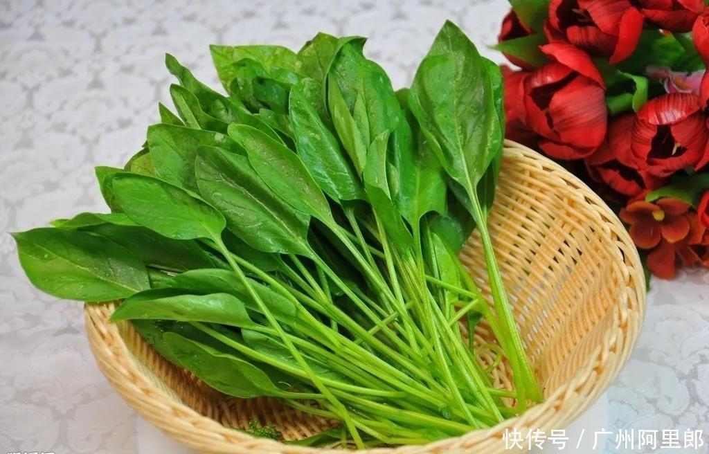 洗发水|头发生长靠什么?