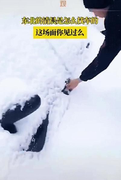 干净|铁锅炖雪、雪洗貂皮大衣，南方人永远无法理解雪对北方人的意义