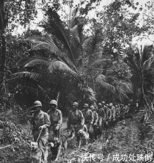 老照片|15张二战太平洋战场老照片：血战新几内亚