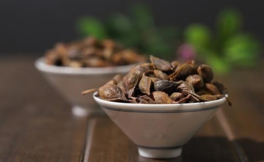 中医|去火“霸王方”!两味药,打通三焦,治口腔溃疡、口疮口臭