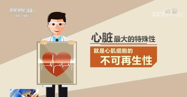 患者|我国心血管病患者超3亿 4方面着手可有效保护心脏