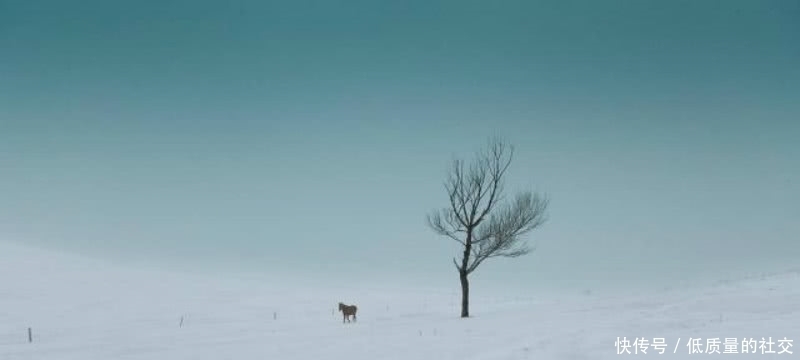 这首诗|高适最经典的一首诗,一千多年来无人能出其右,通篇美得令人心醉