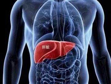 小丽|78岁大爷才100斤!这种常见病每天夺走数千人生命