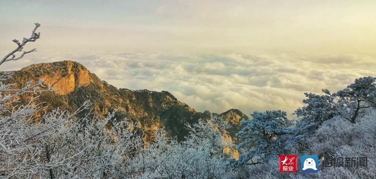 泰山日出、云海、雾凇三大美景齐现 宛如人间仙境