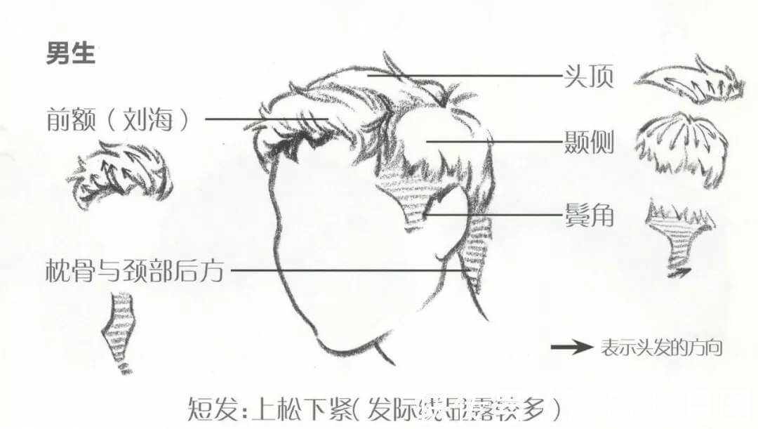 线描|干货分享：速写头发的五大刻画要点