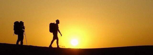 葱头|宠辱之间——争与不争