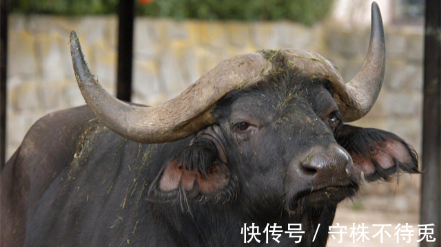 有趣知识|21个冷知识:书本上很少出现,但却经过检验的有趣知识