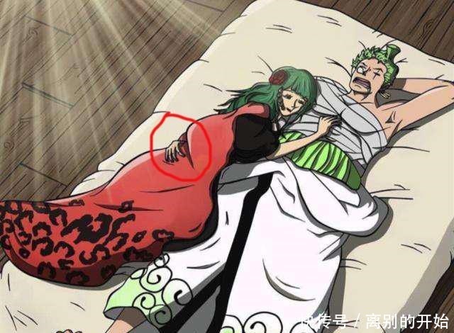 巧妙|海贼王草帽团三大战力的官配,尾田为他们做了一个巧妙的安排