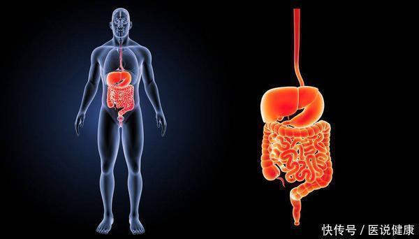 大肠癌|排便莫名出现4种征兆,或暗示大肠癌易上身,趁早检查,别忽视