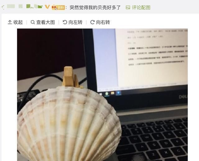 设计师|哈哈哈哈设计师居然被鸭子逼疯,太惨了