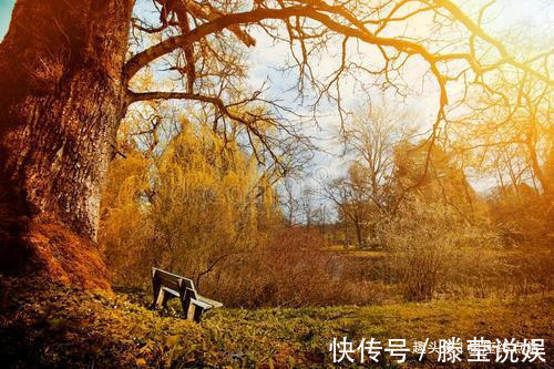 孩子|阴历哪几天出生的孩子,智商高,一个比一个有前途,事业大成