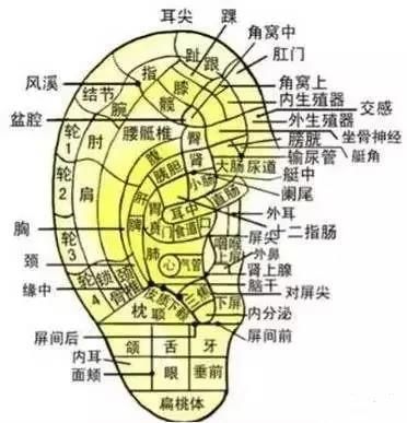 气血|人的身体有4根,影响你的颜值和气血!