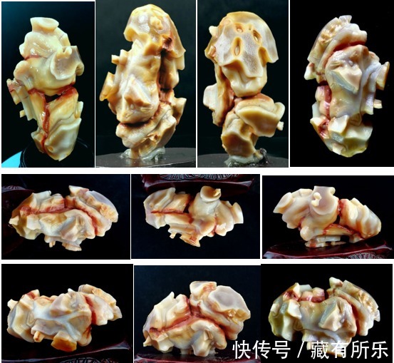 蛋白玛瑙《百变金刚》令人颠覆三观