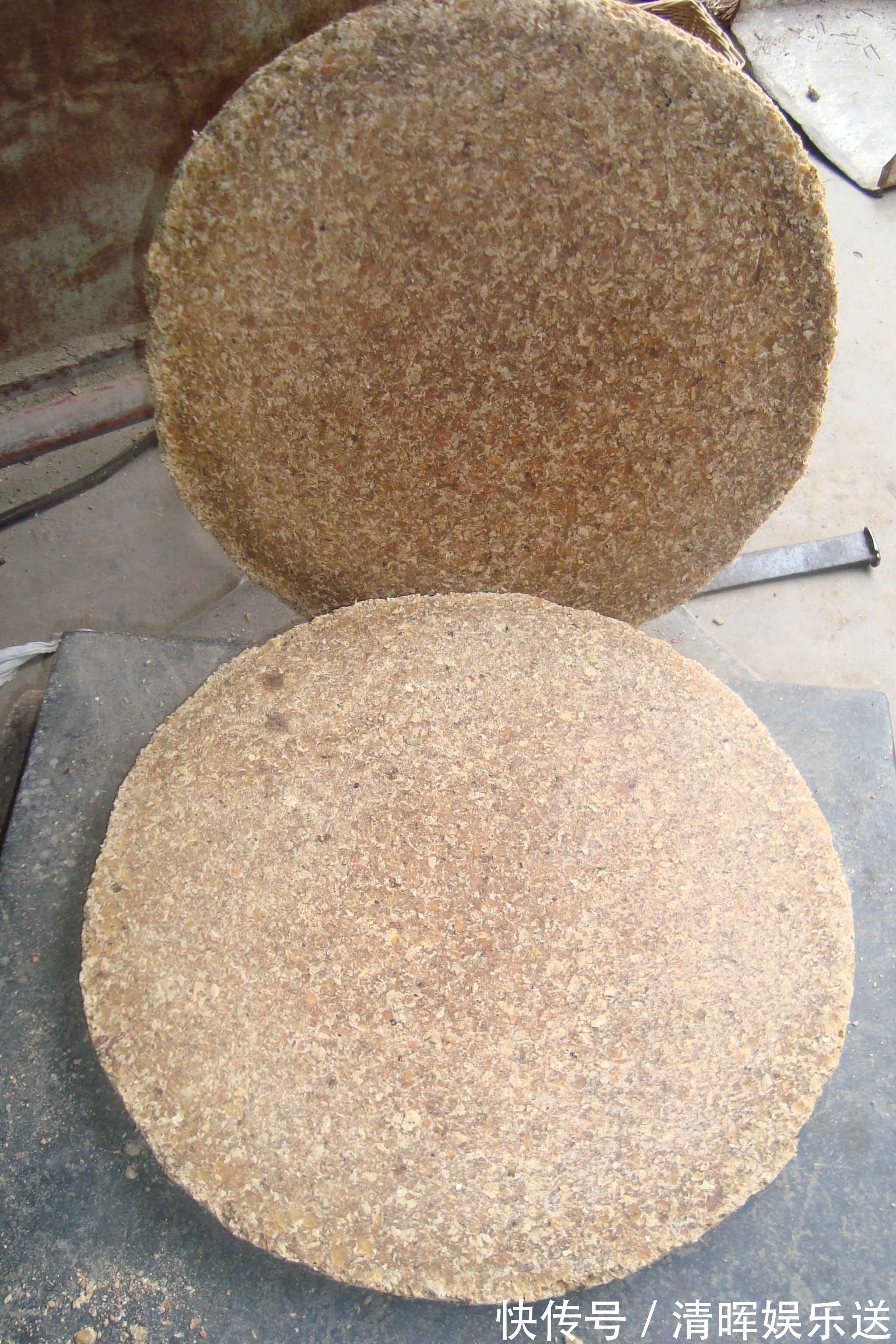 养花不会施肥2种“小东西”垫盆底，一年不用施肥，花卉蹭蹭长