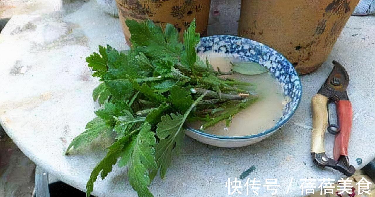 长寿花|11月扦插6种花,遇水就生根,3个月长爆盆,肥效足今年能开花