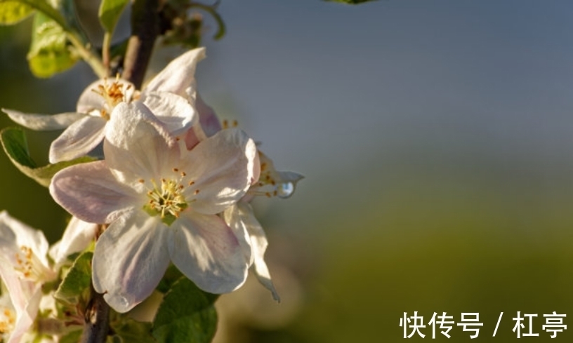 和你在一起|未来2天，存款翻番，大胆突破，事业顺，诉说痴心，有真爱