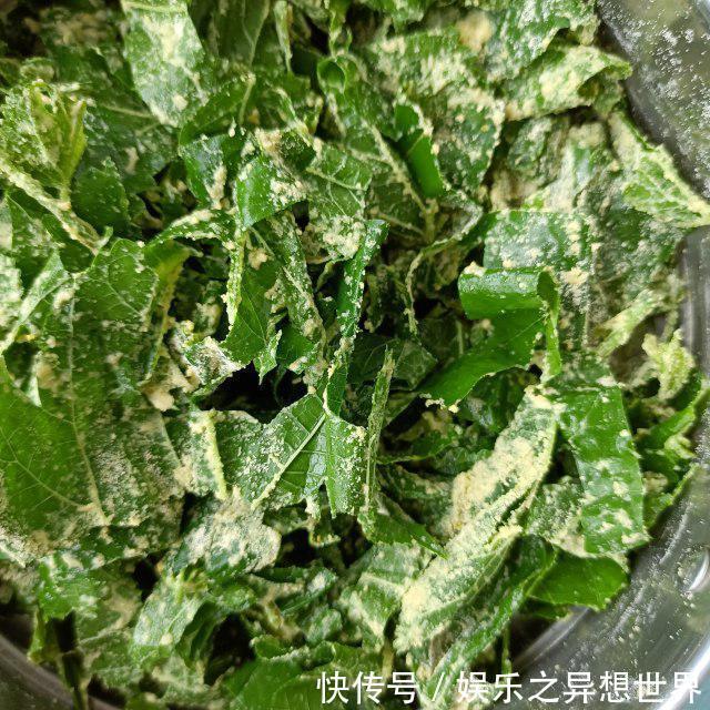 美食天下|蒸桑叶，清肺润燥、平肝明目