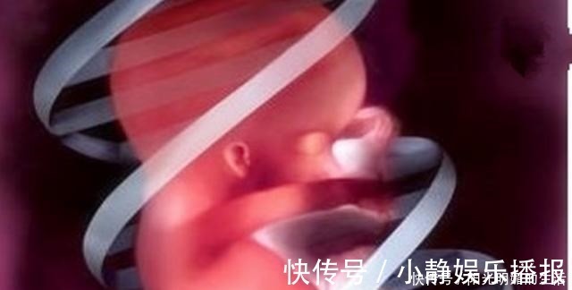 珊珊|“母子连心”，孕妈翻身胎儿也跟着翻身吗答案并非是你想的那样