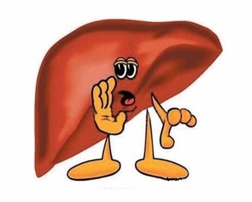 肝脏|十个女性九个有妇科病,该怎么办不妨用这两味中药泡水喝