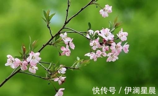 挽回|五天后，烟雨蒙蒙，爱如潮水，虽有无奈，挽回前任，执手相恋