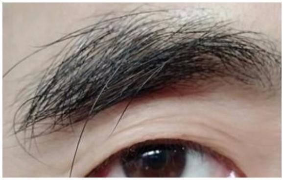 长寿|50岁后的男性后眉毛变长，怎么回事？眉毛变长原因是什么？