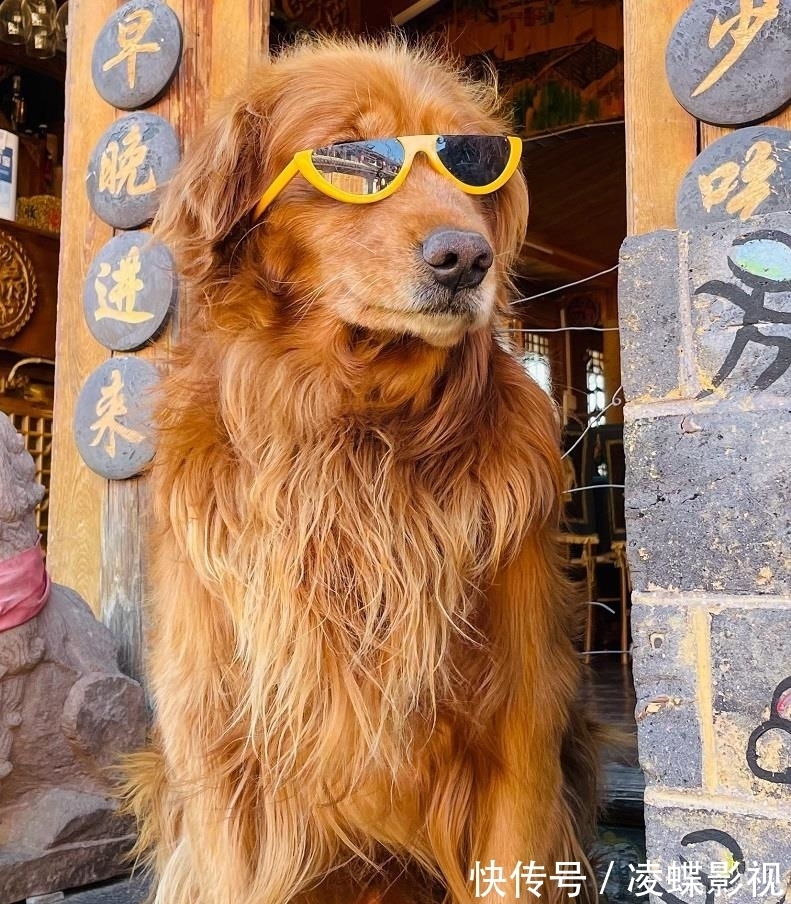 廚子謝霆鋒再次走進(jìn)云南,去麗江農(nóng)貿(mào)市場或可與他偶遇