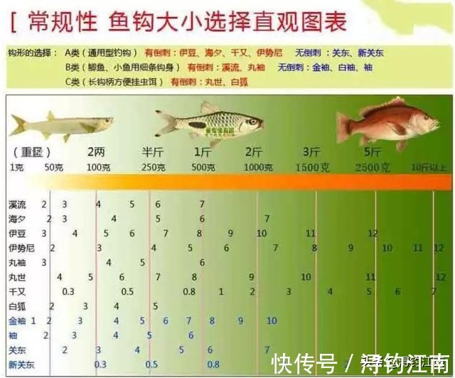 顶漂|出现“顶漂”却不中鱼的几点原因,知道的人可不一般呐,莫不信