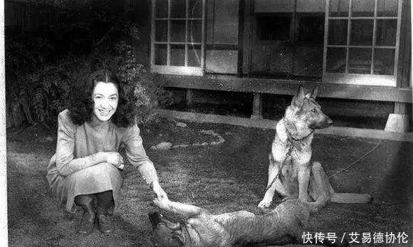 麦克阿瑟|日本式的和亲——麦克阿瑟和日本美女原节子