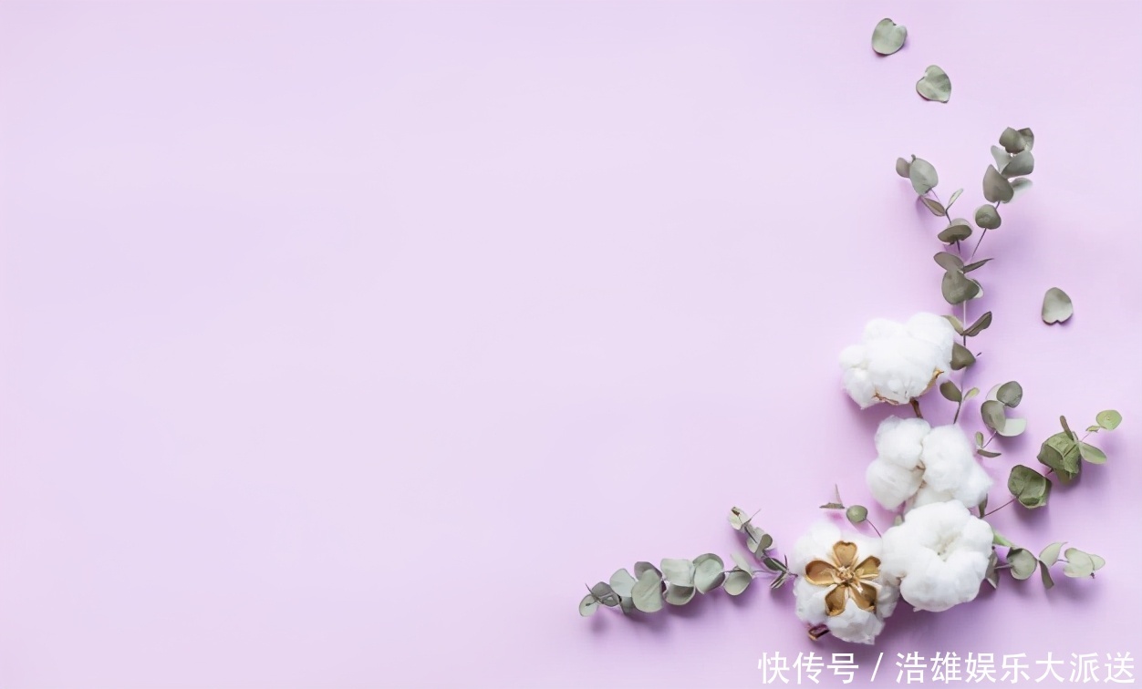 读书的女人和不读书的女人,有哪些本质的差别