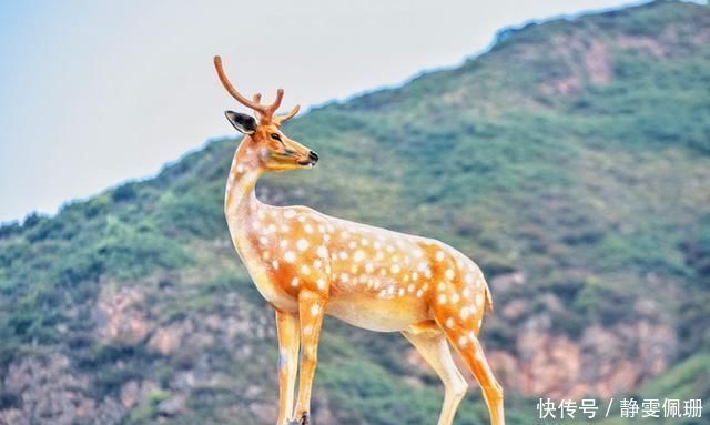 这里是西北藏族最漂亮的圣湖之一，湖光山色令人流连忘返