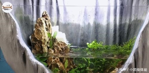 鱼池|这个人挺聪明,用轮胎和桌布改造成精美鱼池,为啥我就想不到!