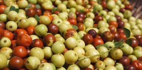 子宫|老得慢的女人,都在“偷偷吃”的6种食物,润肤养颜,子宫更健康