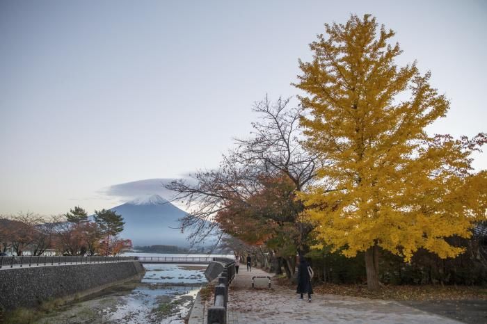  秋景|视界 | 富士山秋景