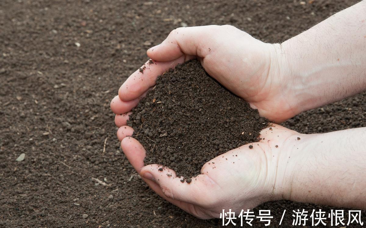 喜欢的多肉太多了,不如放在一起打造多肉组合盆栽,让美丽翻倍