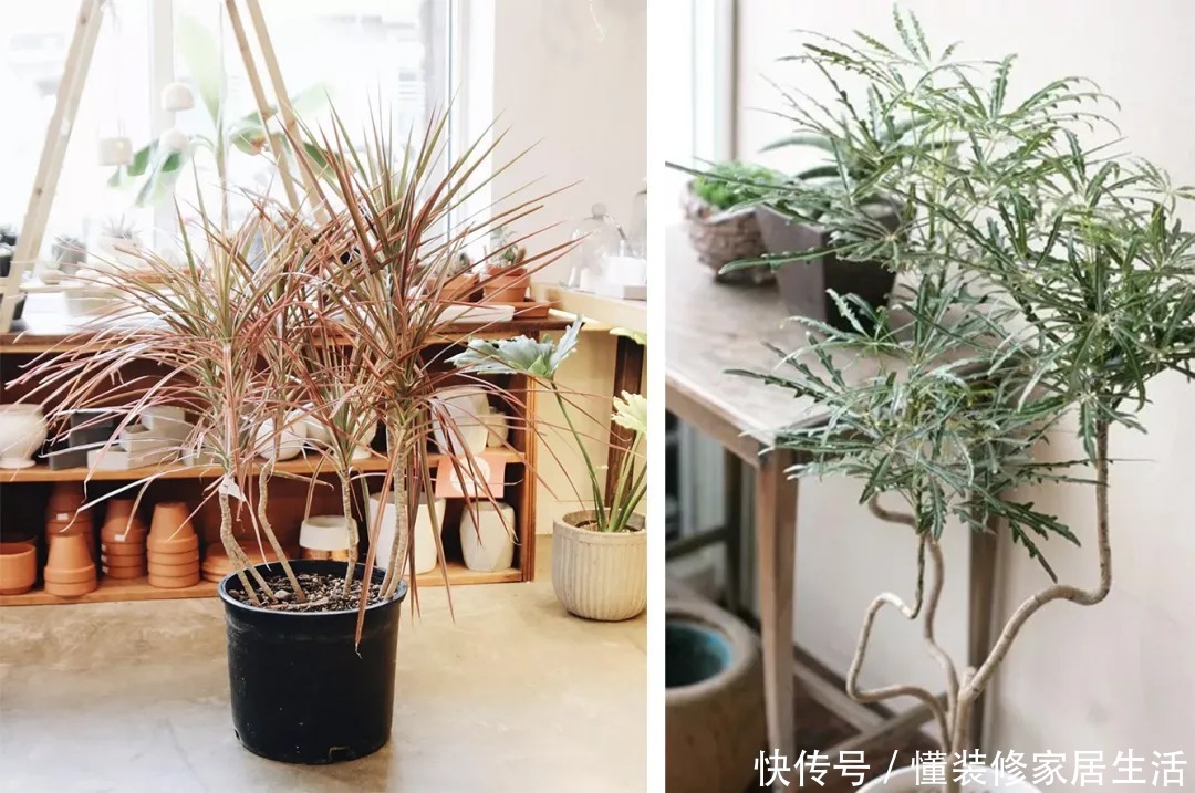 北欧风|年轻人们装修房子都喜欢什么风格？