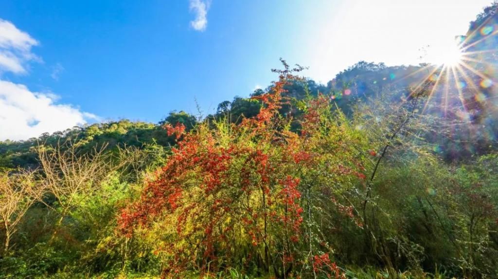 沿途|石柱这些高颜值公路建成，沿途藏着最美的山水景致！