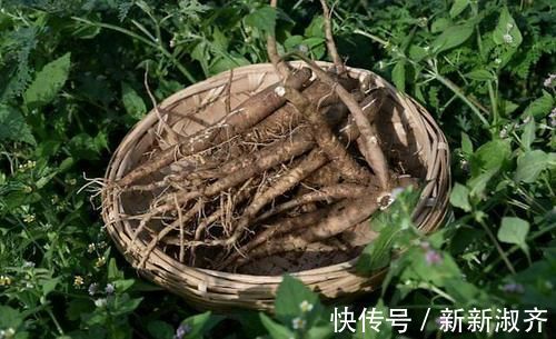 养血|它通血滞、补血虚、润血枯、抚血乱、散血寒,使气血各有所归