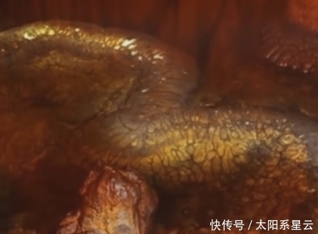 湖南 湖南山洞发现13米长“真龙”?村民们不敢靠近,专家一去看傻眼!