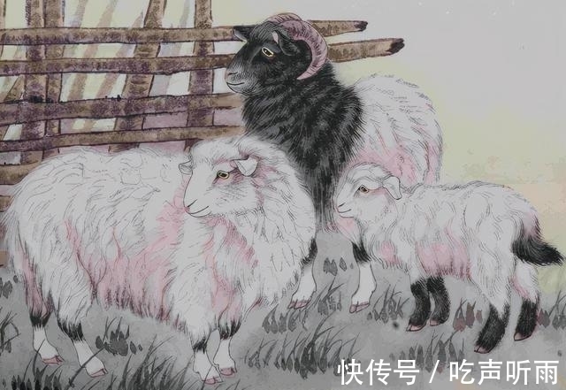 肖财|喜鹊报喜，这3大生肖财神爷关照，财运大吉，运势好到爆