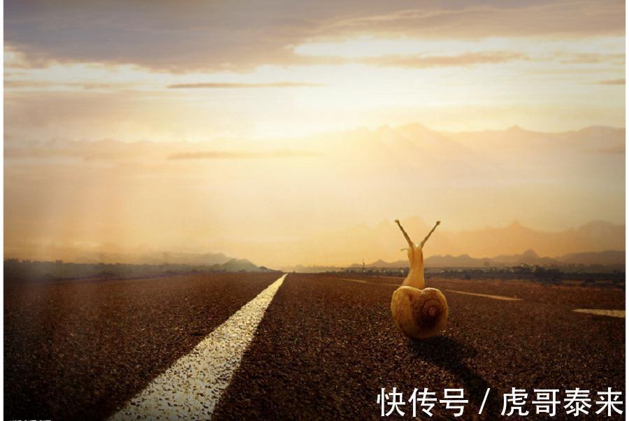 卡拉马佐夫兄弟$人生的下半场,拥有了钝感力,能成为更好的自己