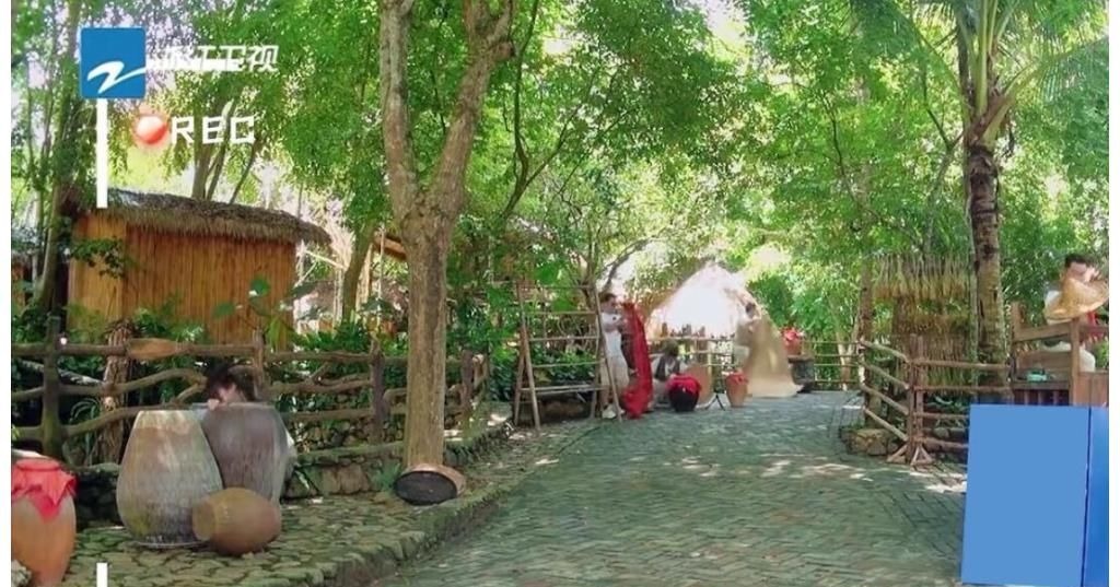 蔡徐坤玩游戏破坏规则却没人管，挺好一游戏最终彻底变了味儿