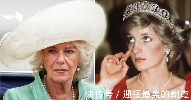 蛇形项链 卡米拉的蛇形项链20年前做情人时查尔斯送的,蛇蝎气质一目了然