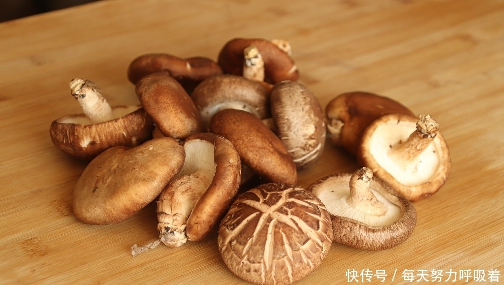 区别|一样是香菇,干香菇和鲜香菇有啥区别?知道以后别再乱买了