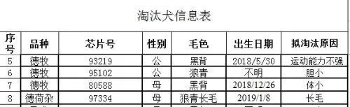 中国刑警学院|已拍出15.1万/只！中国刑警学院身价最高的淘汰犬会是几号？