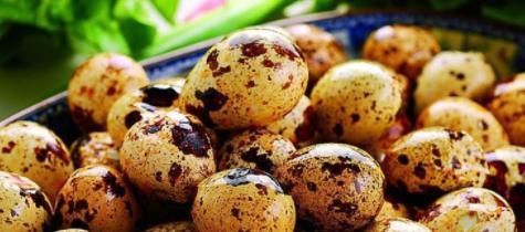 女孩子不能事事都节俭,四种天然的雌激素多吃,抗衰老作用很明显